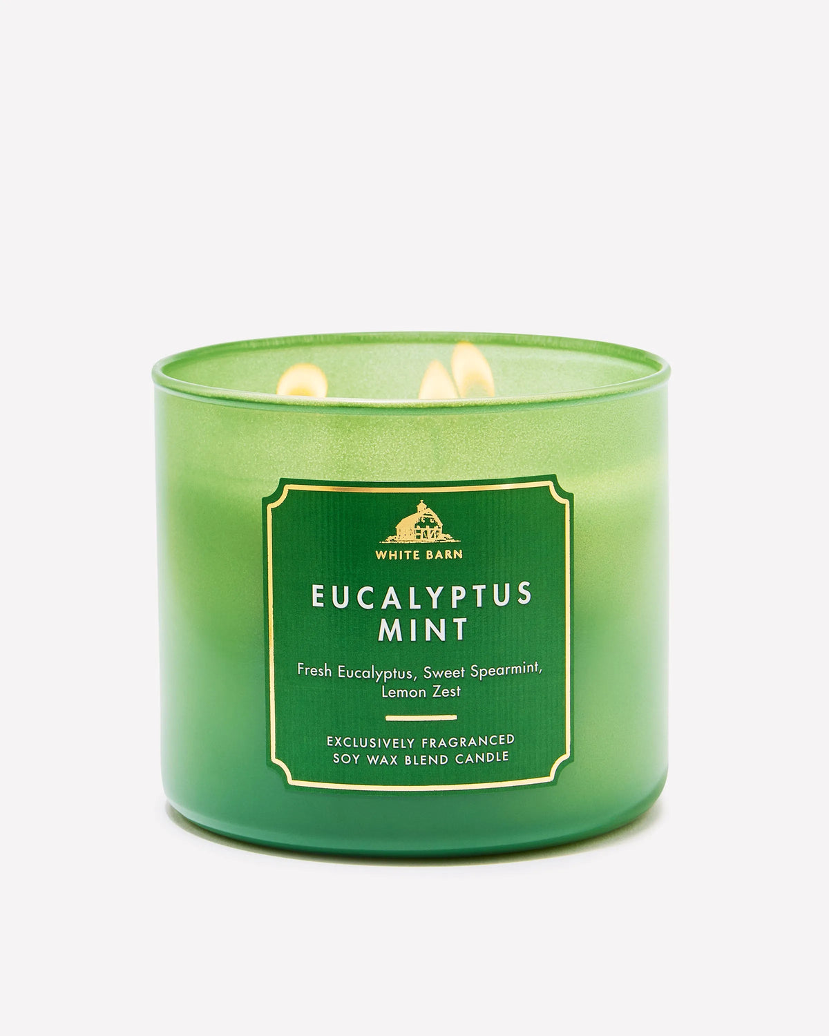 Vela 3 mechas Eucalyptus Mint