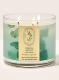Vela 3 mechas Eucalyptus Spearmint