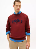 Sudadera cuello redondo unicolor con bordado central
